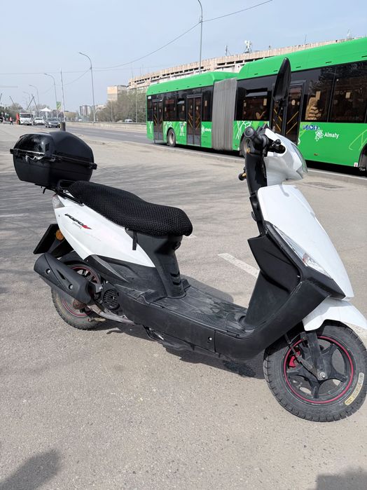 Dayang 2023, 15 550 км