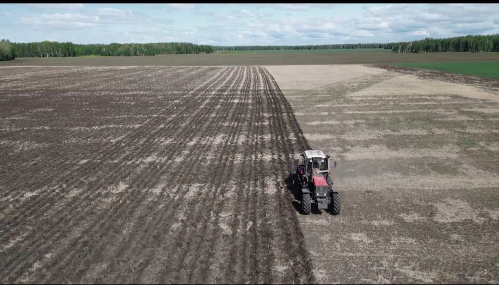 2,4-6м Плуг глубоко-рыхлитель чизельный ПГЧ (щелеватель)