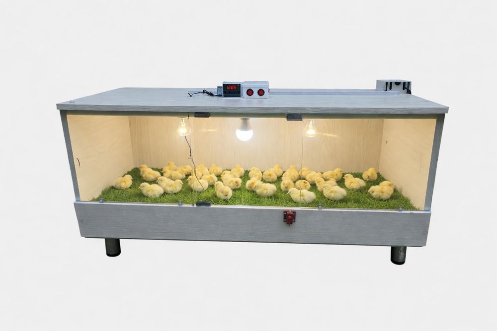 Bruder  Брудер zamonaviy