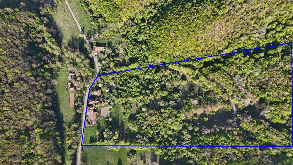 De vânzare proprietate cu 2 case individuale