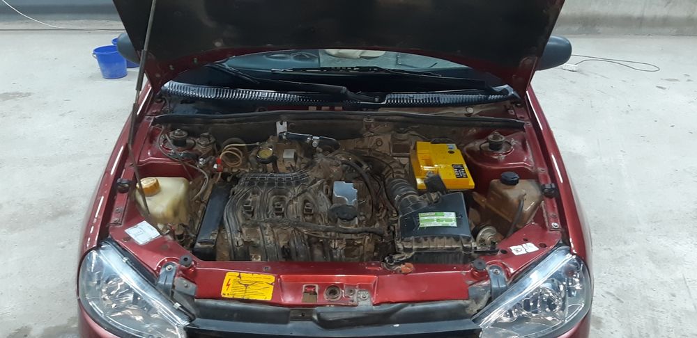 Калина универсал