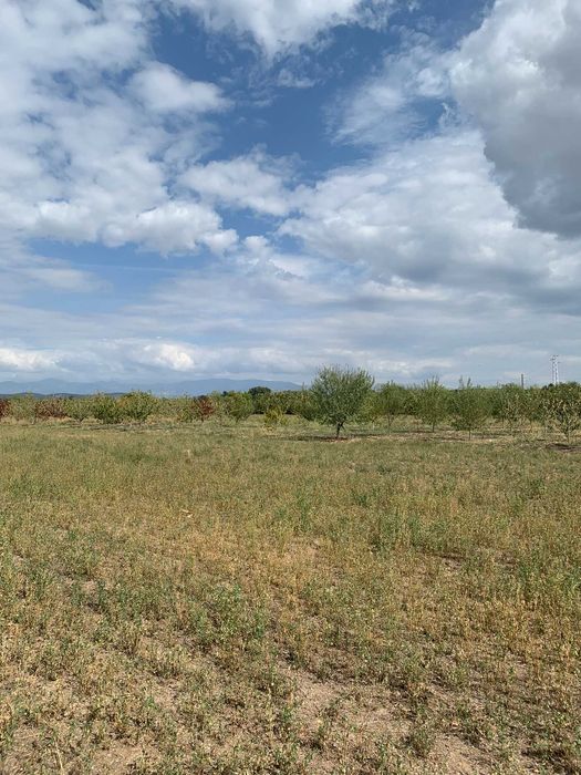 Продава се Земеделски имот в Хисаря -  кв.м за 1020 €/дка - Снимка #3