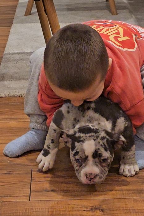 Продавам американско були покет