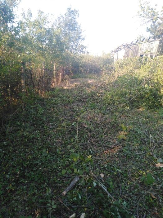 ниски цени изрязване и извозване на буренясали места