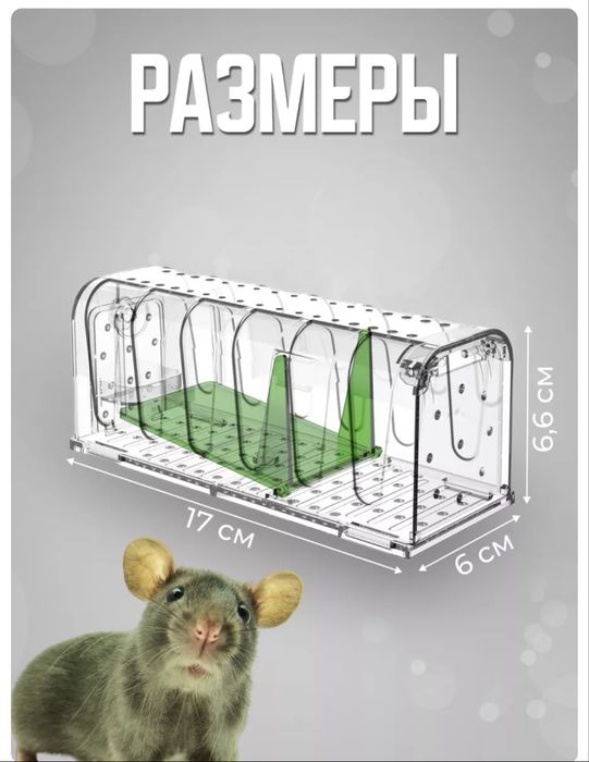 Гуманная мышеловка
