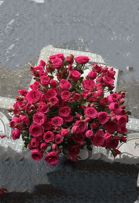 Продам цветы свежие сегодняшний б/у