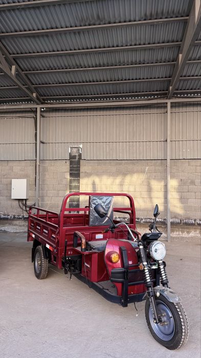 Трицикл муравей электрически