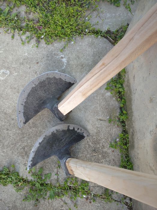 Чапи мотики каластирки