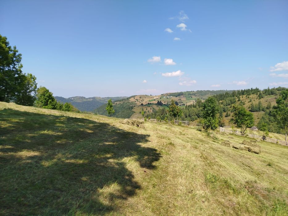 Teren de vânzare Măguri