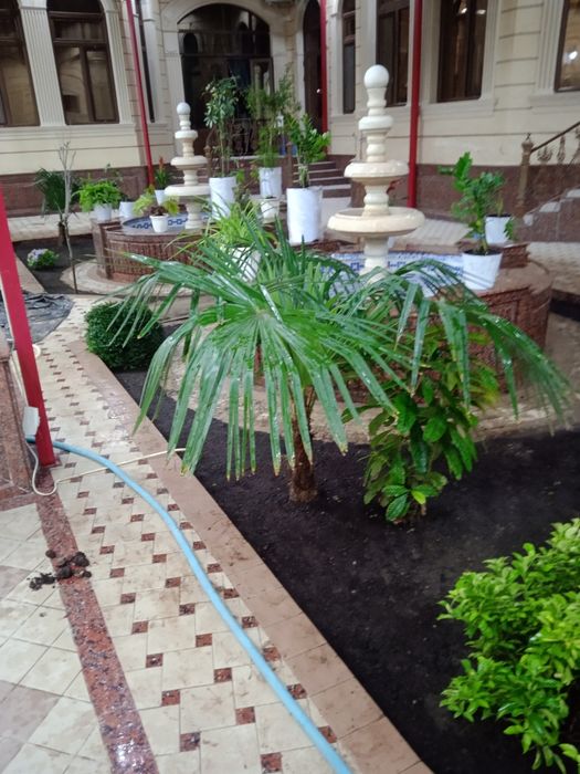 Landshaft Gazon ekish