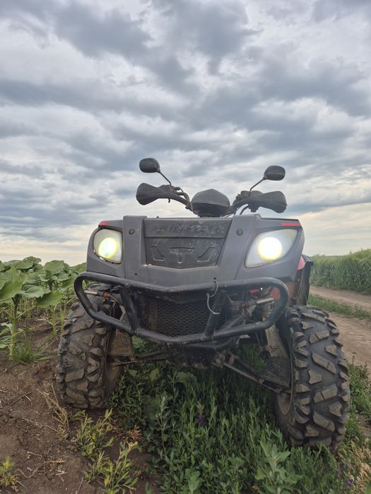 Linhai 2x4 Aniversary