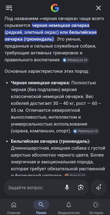 Немецкий овчарка