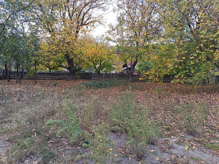 Teren intravilan/loc de casă 7.800 mp-Conop, jud. Arad