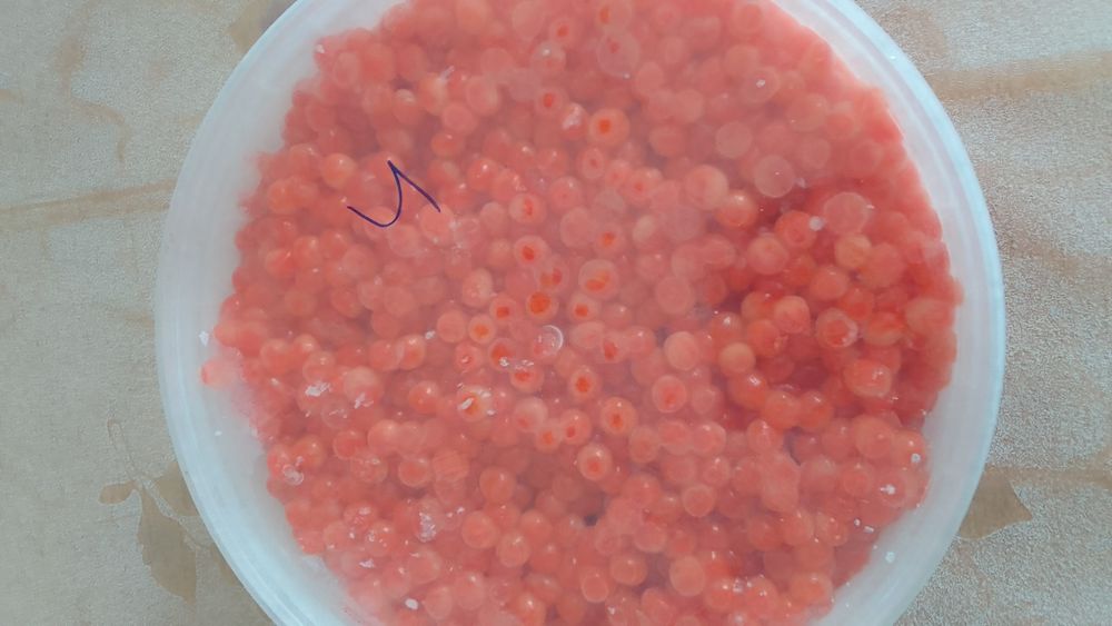 Красная икра Кета, Горбуша