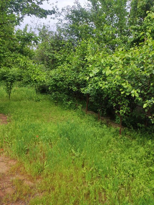 Продаётся участок 12 соток земли в городе Ташкенте 68.000$ за сотку