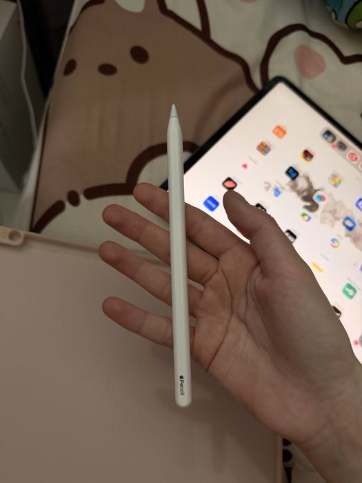 iPad Pro 12.9 (3 поколение) + Apple Pencil 2