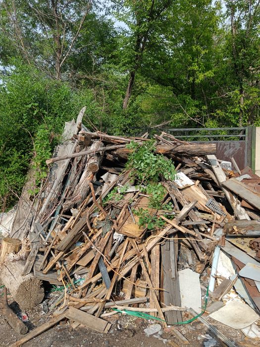 Дрова бесплатно самовывоз