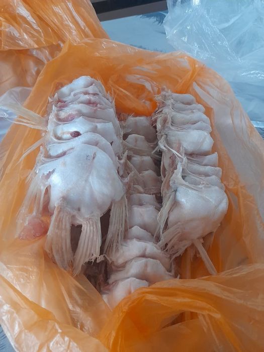 Продам филе судака