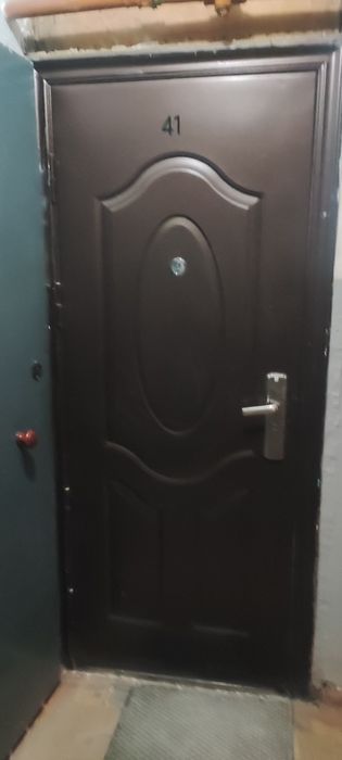 Железная дверь входная