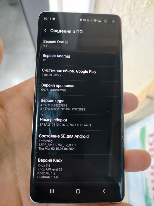 Samsung S10 Plus Duos описанияни укинг