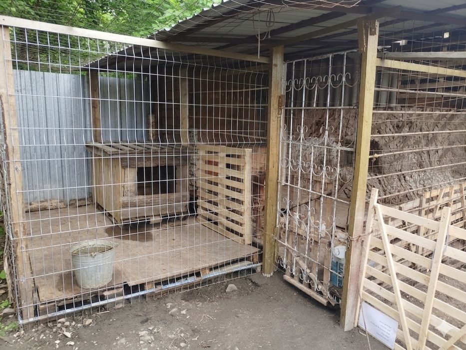 Продам дом в Покровке, Кенен Азербаев