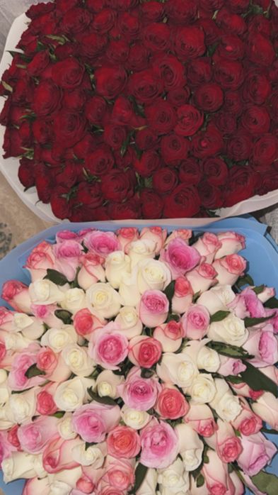 Продам розовые розы 51шт