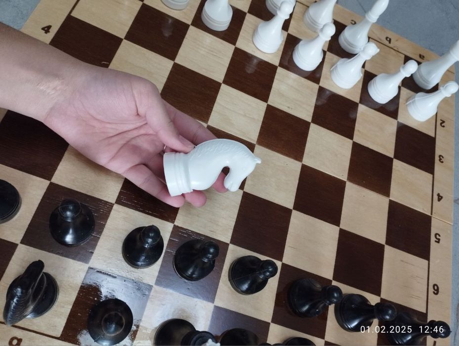 Шахматы комплект с фигурами от производителя