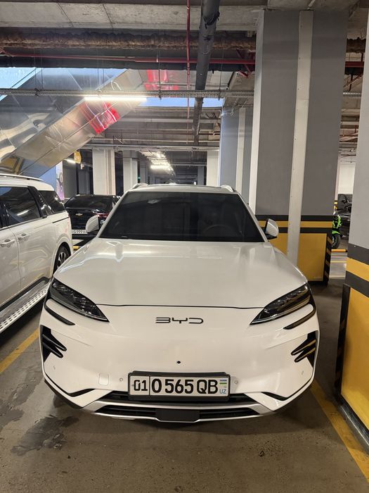 BYD chempion smart