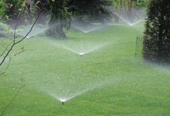 Автополив под ключ