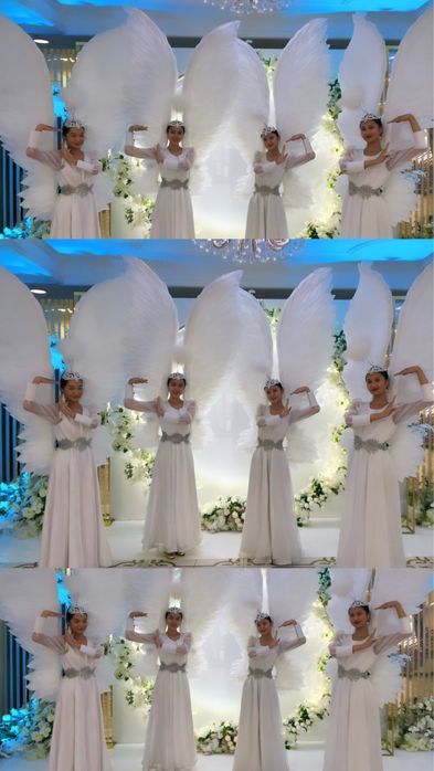 Продаются крылья  для танцев(выводы)