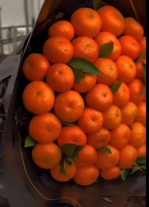 Денежный букет мандарин