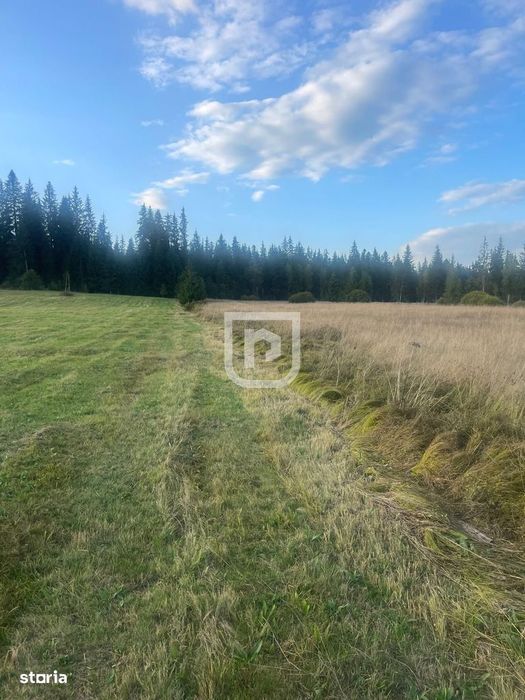 Teren intravilan  – Poiana Stampei