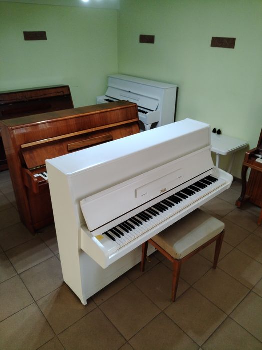 Pianina nemțească Wil. Steinmann