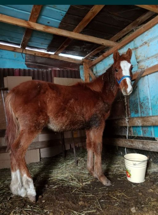 Срочно продам срочно