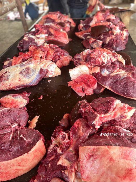 Жылқы еті жіліктеме мясо конина