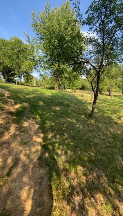 Teren de vânzare în Sinteu