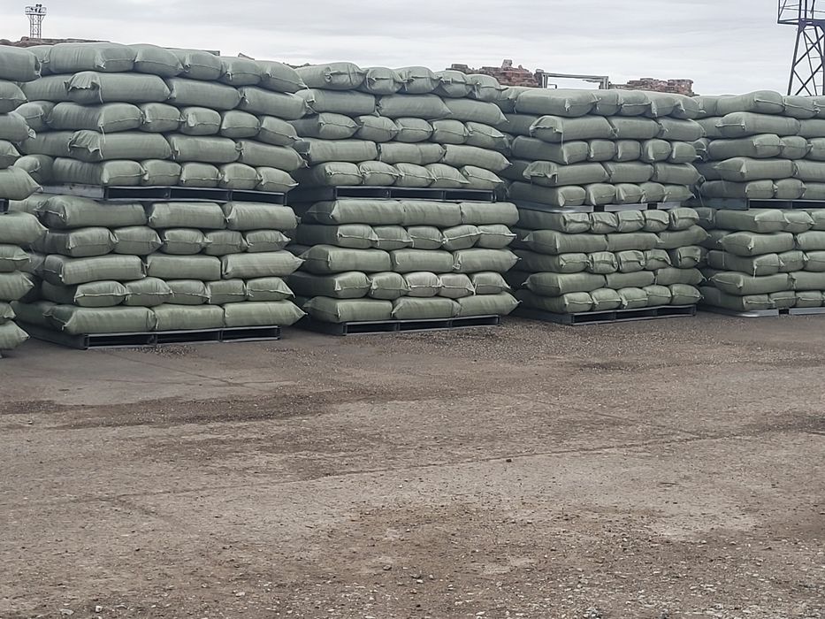 Лузга подсолнуха