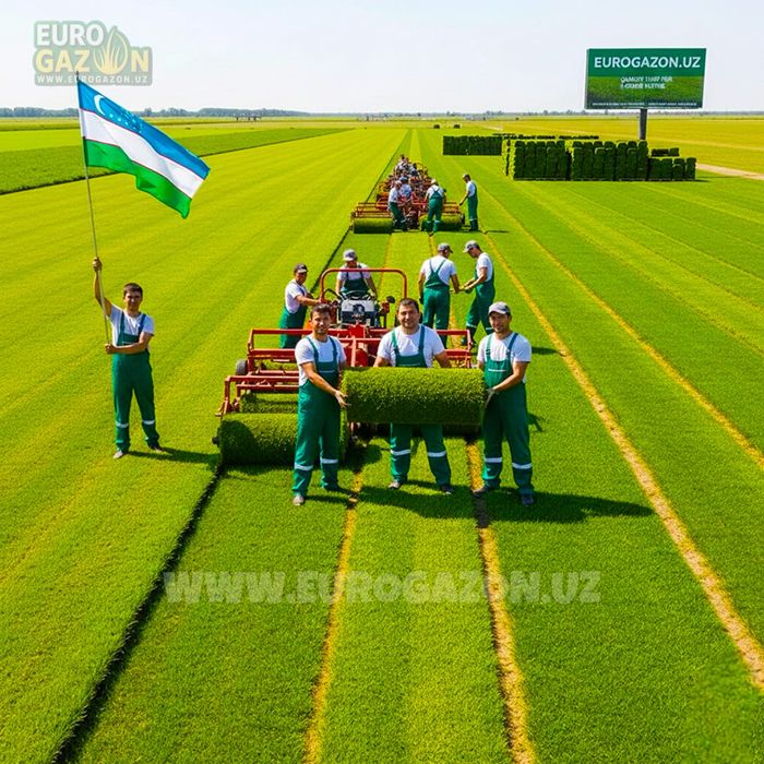 Укладка газона под ключ — Ташкент