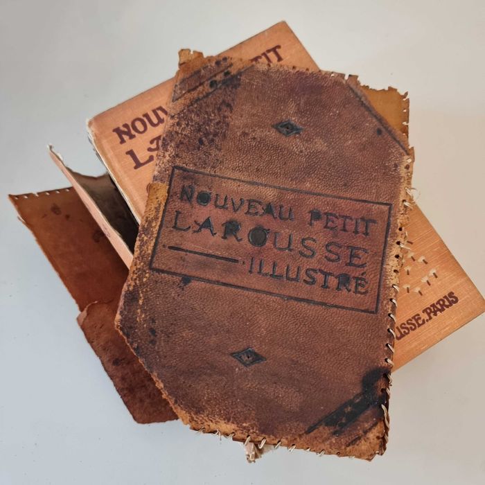 Dictionar Nouveau Petit Larousse Illustre 1937