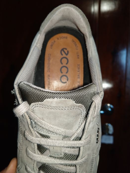 Ecco 42нм. 26,5см.