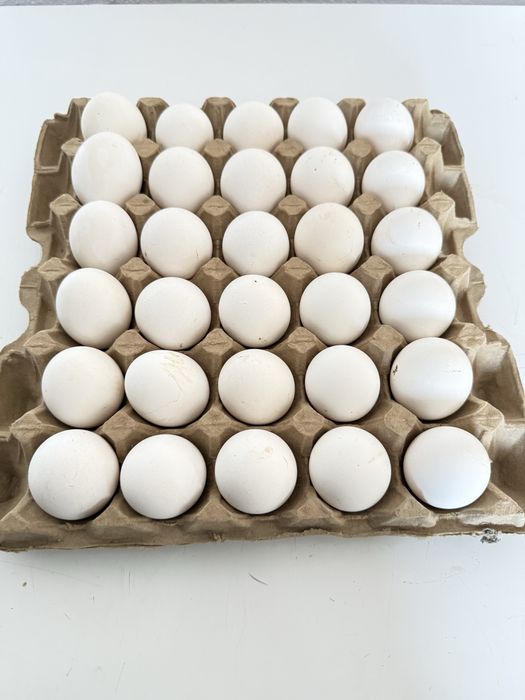 Продажа оптом домашних куриных яиц