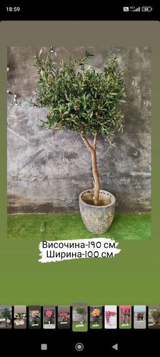 Изкуствено дърво