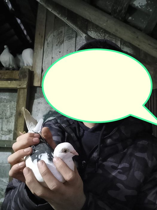 Jucatori de vânzare