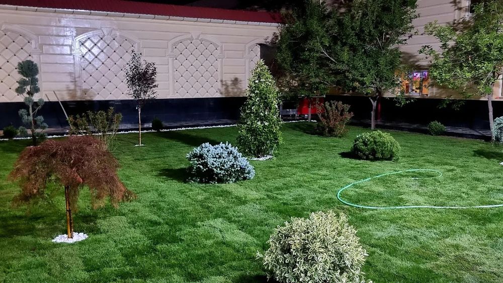 таёр рулони газон ёткизамиз ва газон уруг сепамиз