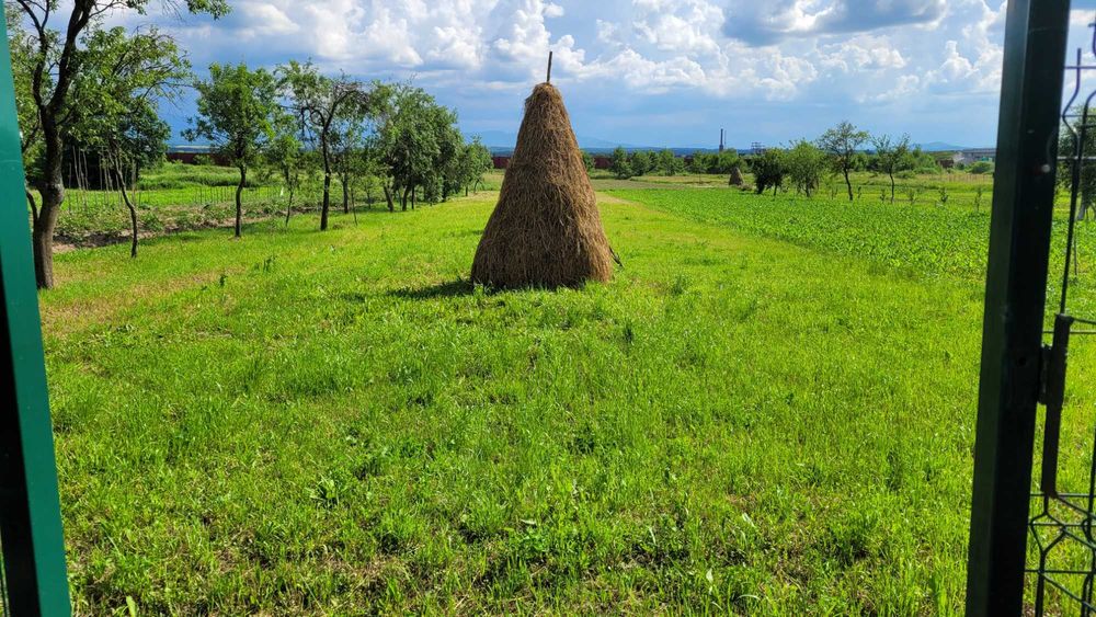 Vand casă la Zorani