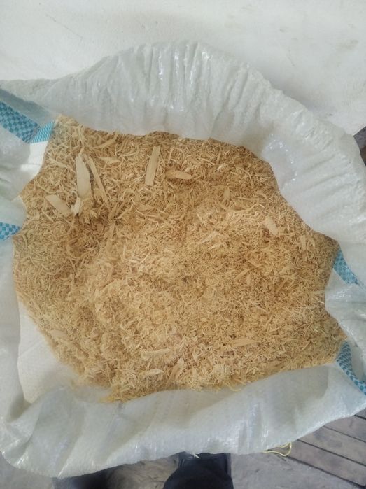 Apilka qpu qoplangan oʻrtacha yiriklikdagi qipiqlar