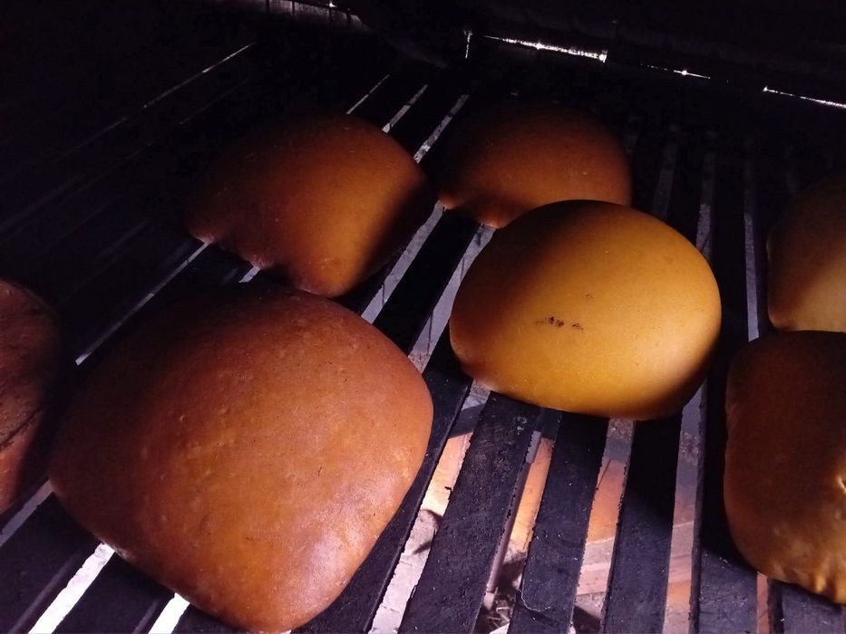 Brânză dospită de vacă