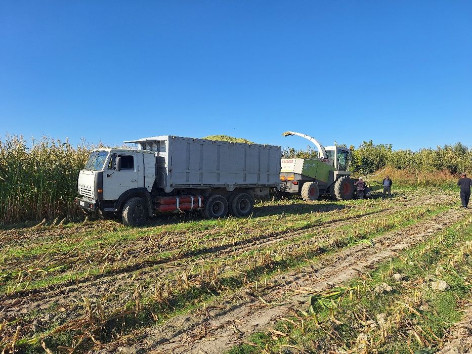 Камаз селхоз 55102