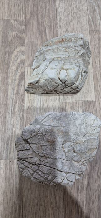 Продам камни слоновая кость.