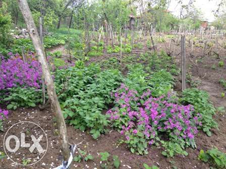 Продава се Парцел в Хасково, в.з. Хасково - 627 кв.м за 31 €/кв.м - Снимка #2